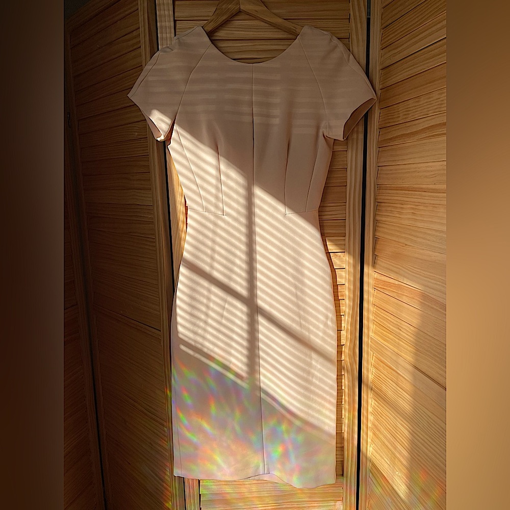Zara Form Fitting Blush Dress, Size XS